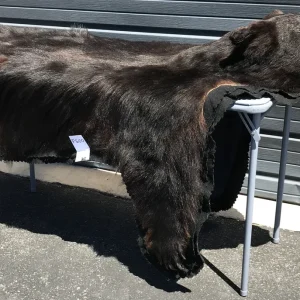 Bear rug double black felt