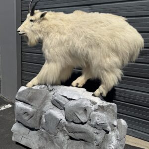 Mountain Goat Pedestal