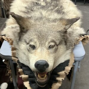 Wolf rug of deep shades