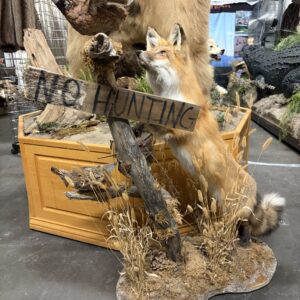 TAXIDERMY FOX DIORAMA