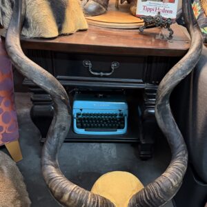 TAXIDERMY KUDU HORNS WALL PLAQUE