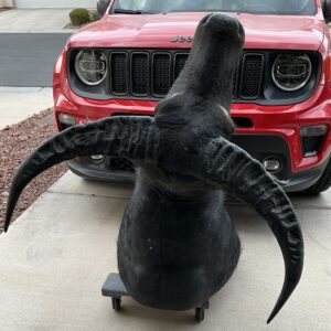 TAXIDERMY WATER BUFFALO